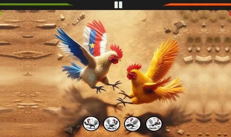 Cách chơi Đá Gà 3D tại BuBet hiệu quả