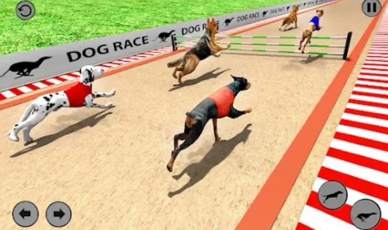 Đồ họa game nhanh Đua Chó tại BuBet thiết kế đẹp, sắc nét