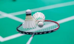 Cầu Lông Tại Nhà Cái BuBet